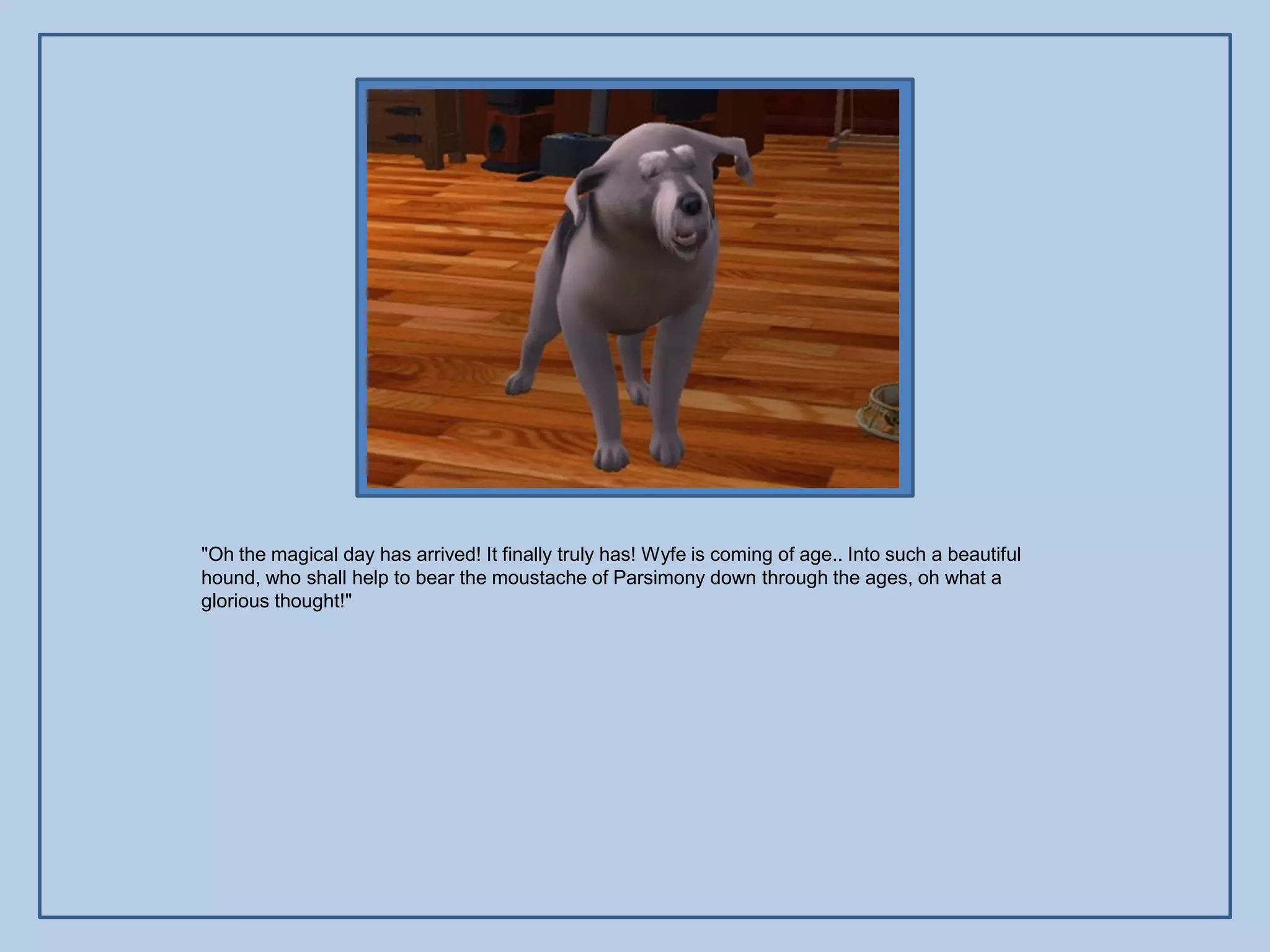 "Oh the magical day has arrived! It finally truly has! Wyfe is coming of age.. Into such a beautiful
hound, who shall help to bear the moustache of Parsimony down through the ages, oh what a
glorious thought!"
 