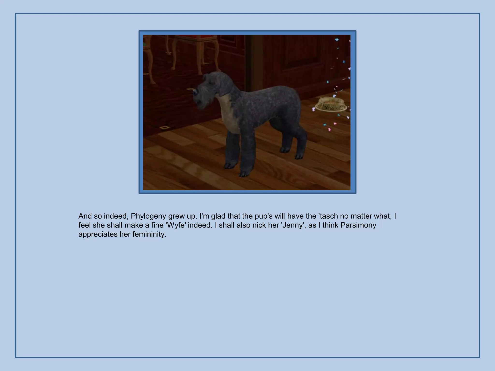 And so indeed, Phylogeny grew up. I'm glad that the pup's will have the 'tasch no matter what, I
feel she shall make a fine 'Wyfe' indeed. I shall also nick her 'Jenny', as I think Parsimony
appreciates her femininity.
 