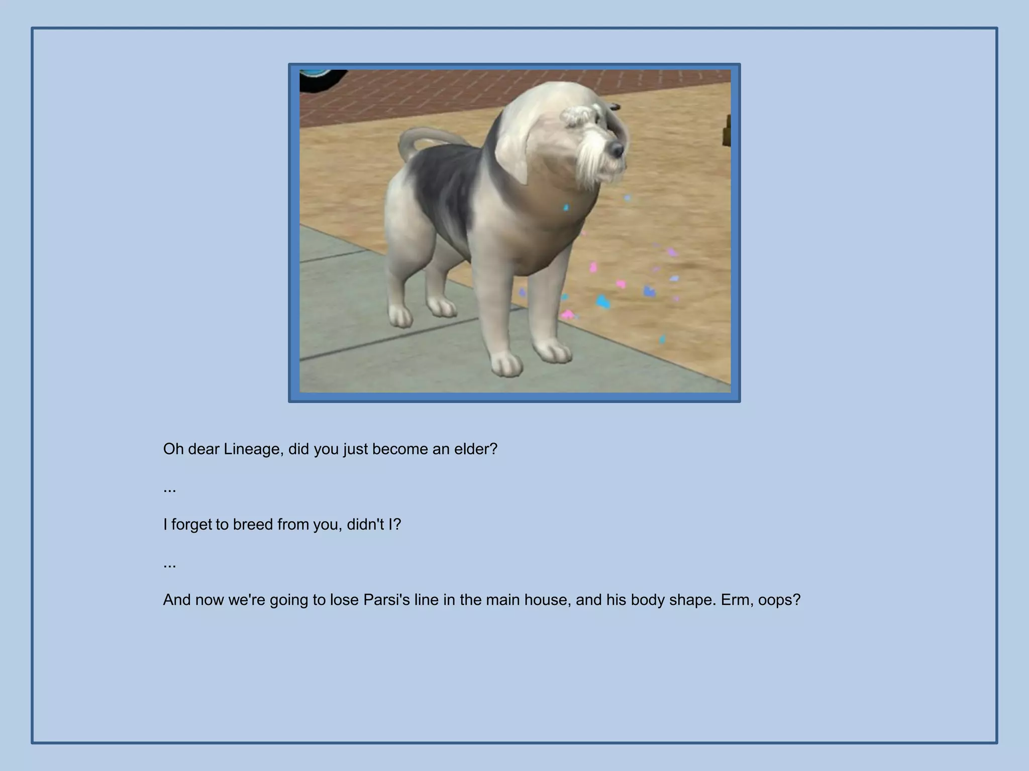 Oh dear Lineage, did you just become an elder?

...

I forget to breed from you, didn't I?

...

And now we're going to lose Parsi's line in the main house, and his body shape. Erm, oops?
 