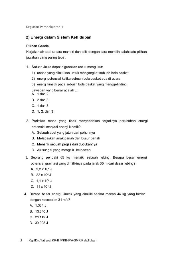 Soal Pilihan Ganda Energi Dalam Sistem Kehidupan - Soal Sekolah