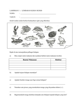 LAMPIRAN 5  :   LEMBARAN KERJA MURID<br />NAMA  :  ____________________________________________<br />TAHUN:  ____________________________________   <br />Jawab soalan-soalan berikut berdasarkan rajah yang diberikan.<br />114300-3810<br />Rajah di atas menunjukkan pelbagai hidupan.<br />a) Bina empat rantai makanan dan nyatakan habitat rantai makanan tersebut.<br />Rantai MakananHabitat<br />Apakah tujuan hidupan memakan?<br />_____________________________________________________________________<br />c)  Apakah Sumber tenaga asas bagi semua hidupan?<br />_____________________________________________________________________<br />Namakan satu proses yang menukarkan tenaga yang dinyatakan dalam ( c ).<br />_____________________________________________________________________<br />,[object Object],_____________________________________________________________________<br />