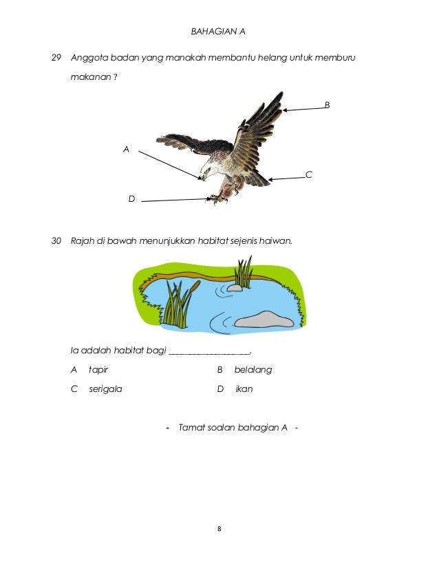 Soalan sains tahun 3