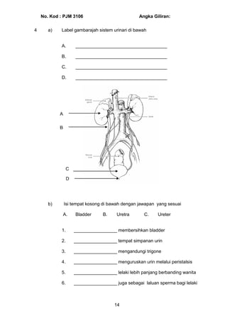 Soalan Anatomi Fisiologi