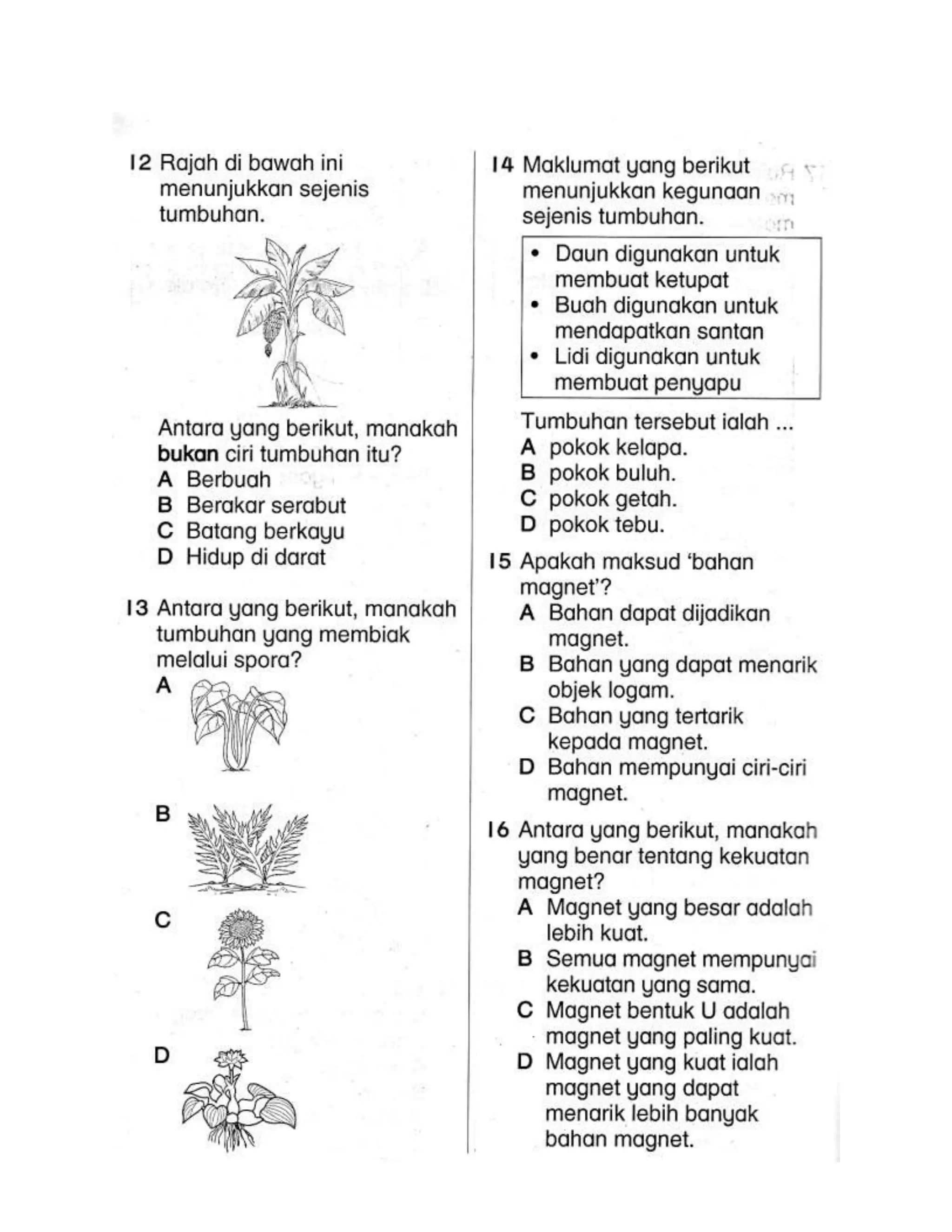 Soalan akhir tahun dst tahun 2