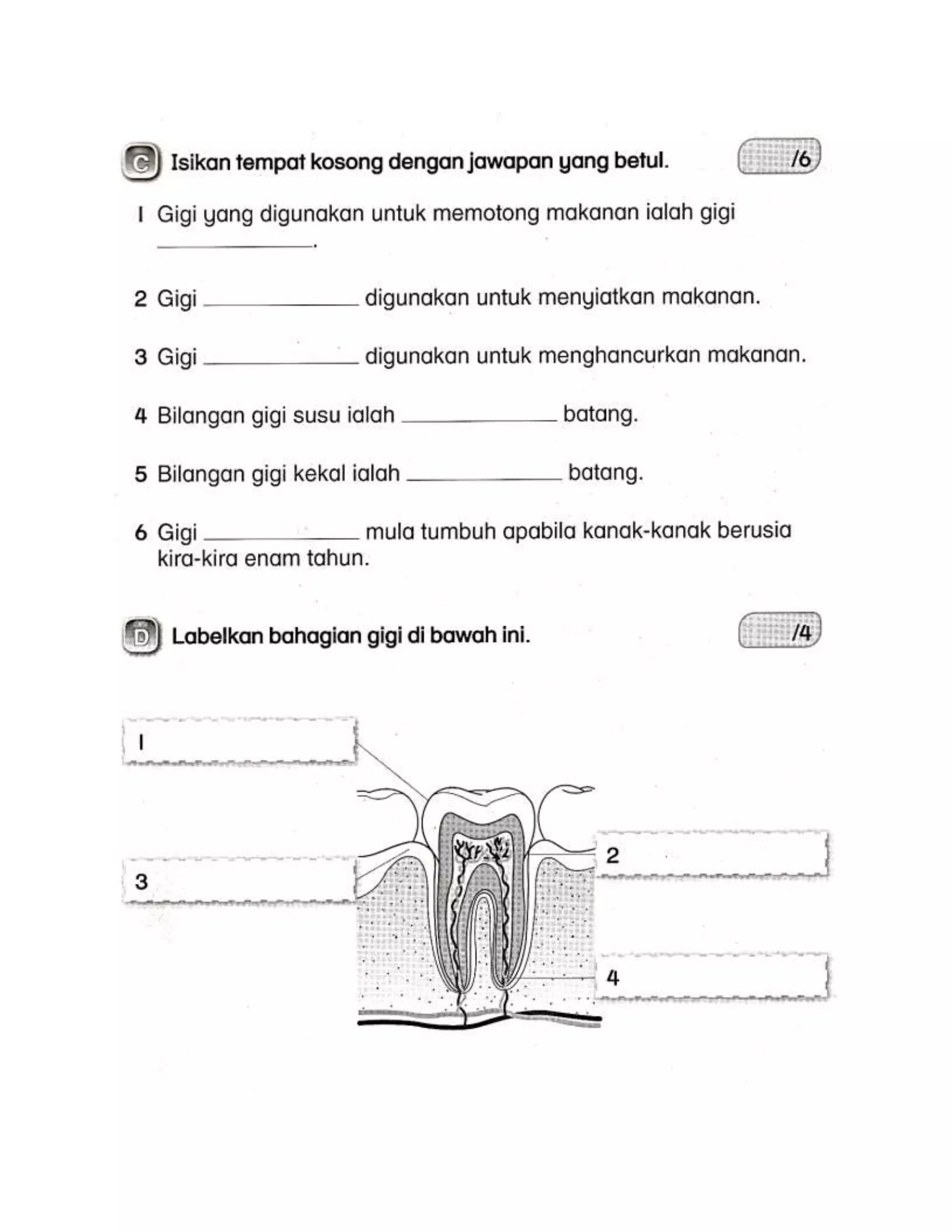 Soalan akhir tahun dst tahun 2