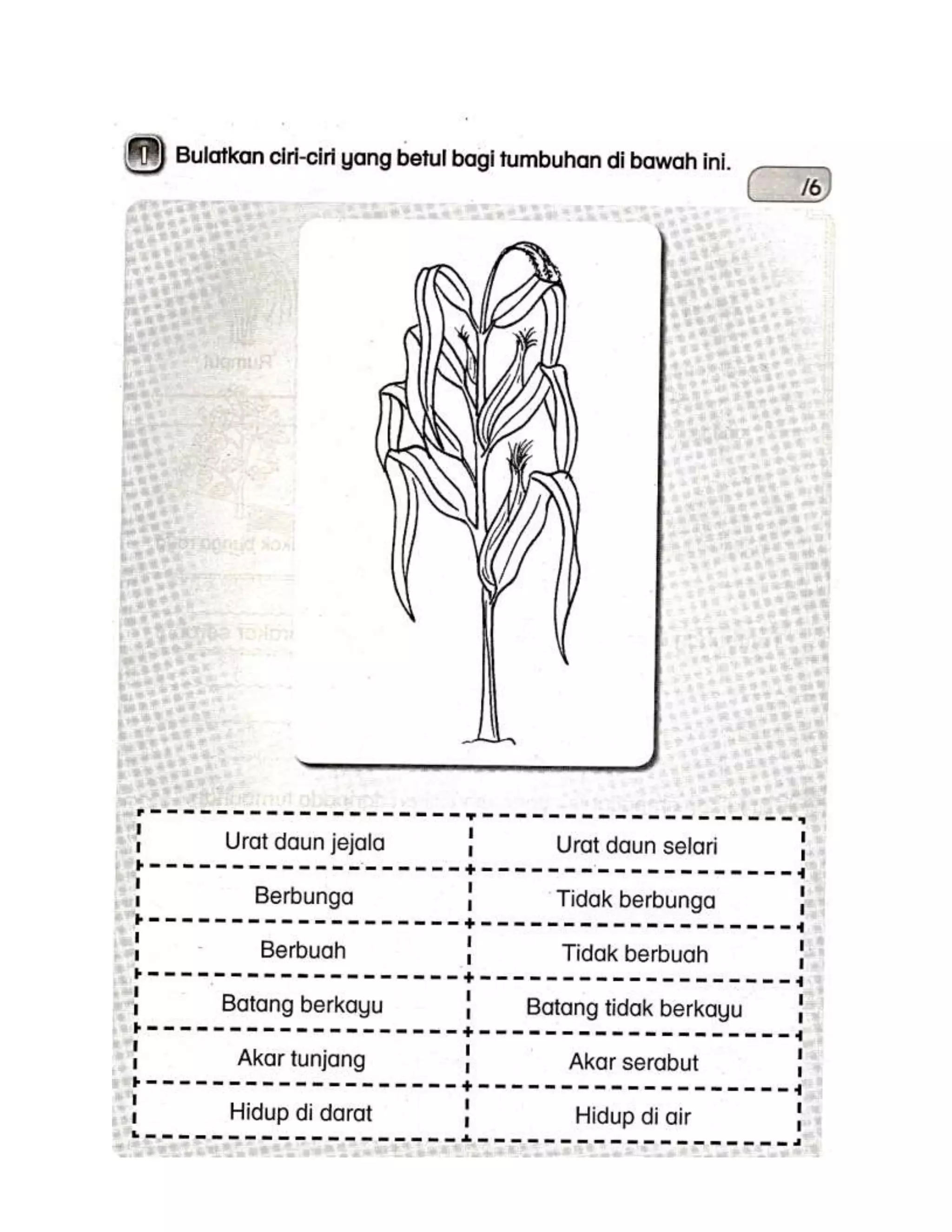 Soalan akhir tahun dst tahun 2