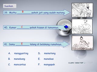 Suaikan.
39. Muthu _________ pokok jati yang sudah matang.
40. Kumar ________ pokok hiasan di tamannya.
41. Samy _________ lalang di belakang rumahnya.
A. menggunting
B. menebang
C. mencantas
D. memotong
C
B
E
E. menebas
F. mengapak
 