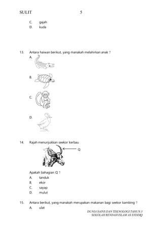 SULIT 5
DUNIA SAINS DAN TEKNOLOGI TAHUN 3
SEKOLAH RENDAH ISLAM AS SYDDIQ
C. gajah
D. kuda
13. Antara haiwan berikut, yang manakah melahirkan anak ?
A.
B.
C.
D.
14. Rajah menunjukkan seekor kerbau
Apakah bahagian Q ?
A. tanduk
B. ekor
C. sayap
D. mulut
15. Antara berikut, yang manakah merupakan makanan bagi seekor kambing ?
A. ulat
Q
 