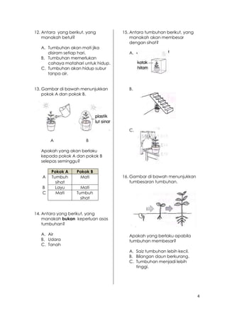 4 
12. Antara yang berikut, yang 
manakah betul? 
A. Tumbuhan akan mati jika 
disiram setiap hari. 
B. Tumbuhan memerlukan 
cahaya matahari untuk hidup. 
C. Tumbuhan akan hidup subur 
tanpa air. 
13. Gambar di bawah menunjukkan 
pokok A dan pokok B. 
A B 
Apakah yang akan berlaku 
kepada pokok A dan pokok B 
selepas seminggu? 
Pokok A Pokok B 
A Tumbuh 
sihat 
Mati 
B Layu Mati 
C Mati Tumbuh 
sihat 
14. Antara yang berikut, yang 
manakah bukan keperluan asas 
tumbuhan? 
A. Air 
B. Udara 
C. Tanah 
15. Antara tumbuhan berikut, yang 
manakah akan membesar 
dengan sihat? 
A. 
B. 
C. 
16. Gambar di bawah menunjukkan 
tumbesaran tumbuhan. 
Apakah yang berlaku apabila 
tumbuhan membesar? 
A. Saiz tumbuhan lebih kecil. 
B. Bilangan daun berkurang. 
C. Tumbuhan menjadi lebih 
tinggi. 
 