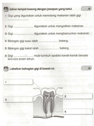 Soalan dst thn 3