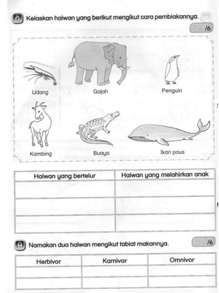 Soalan dst thn 3