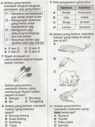 Soalan dst thn 3