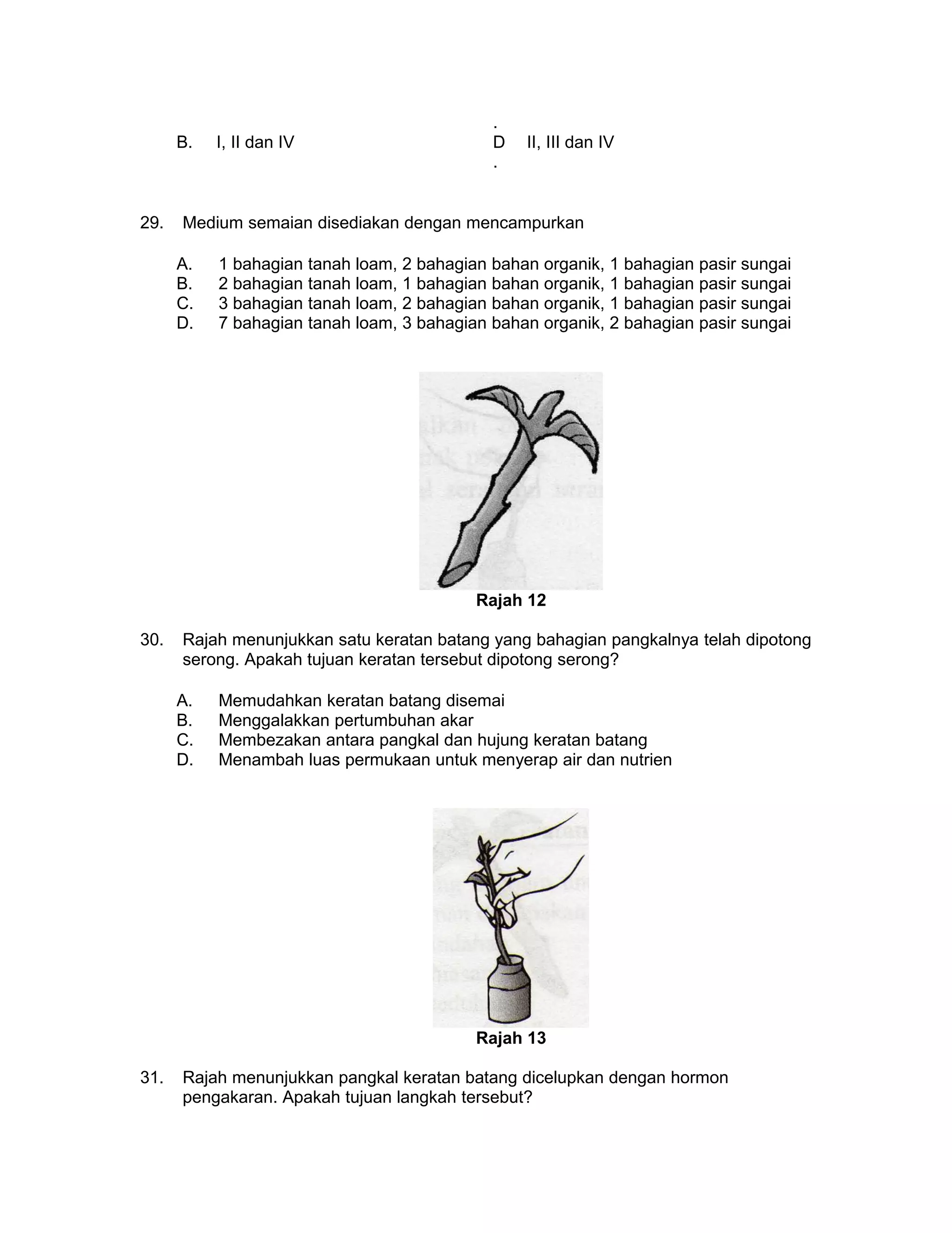 .
B. I, II dan IV D
.
II, III dan IV
29. Medium semaian disediakan dengan mencampurkan
A. 1 bahagian tanah loam, 2 bahagian bahan organik, 1 bahagian pasir sungai
B. 2 bahagian tanah loam, 1 bahagian bahan organik, 1 bahagian pasir sungai
C. 3 bahagian tanah loam, 2 bahagian bahan organik, 1 bahagian pasir sungai
D. 7 bahagian tanah loam, 3 bahagian bahan organik, 2 bahagian pasir sungai
Rajah 12
30. Rajah menunjukkan satu keratan batang yang bahagian pangkalnya telah dipotong
serong. Apakah tujuan keratan tersebut dipotong serong?
A. Memudahkan keratan batang disemai
B. Menggalakkan pertumbuhan akar
C. Membezakan antara pangkal dan hujung keratan batang
D. Menambah luas permukaan untuk menyerap air dan nutrien
Rajah 13
31. Rajah menunjukkan pangkal keratan batang dicelupkan dengan hormon
pengakaran. Apakah tujuan langkah tersebut?
 