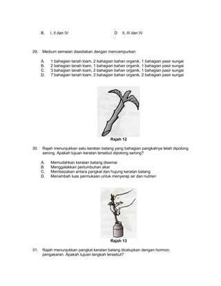 .
B. I, II dan IV D
.
II, III dan IV
29. Medium semaian disediakan dengan mencampurkan
A. 1 bahagian tanah loam, 2 bahagian bahan organik, 1 bahagian pasir sungai
B. 2 bahagian tanah loam, 1 bahagian bahan organik, 1 bahagian pasir sungai
C. 3 bahagian tanah loam, 2 bahagian bahan organik, 1 bahagian pasir sungai
D. 7 bahagian tanah loam, 3 bahagian bahan organik, 2 bahagian pasir sungai
Rajah 12
30. Rajah menunjukkan satu keratan batang yang bahagian pangkalnya telah dipotong
serong. Apakah tujuan keratan tersebut dipotong serong?
A. Memudahkan keratan batang disemai
B. Menggalakkan pertumbuhan akar
C. Membezakan antara pangkal dan hujung keratan batang
D. Menambah luas permukaan untuk menyerap air dan nutrien
Rajah 13
31. Rajah menunjukkan pangkal keratan batang dicelupkan dengan hormon
pengakaran. Apakah tujuan langkah tersebut?
 
