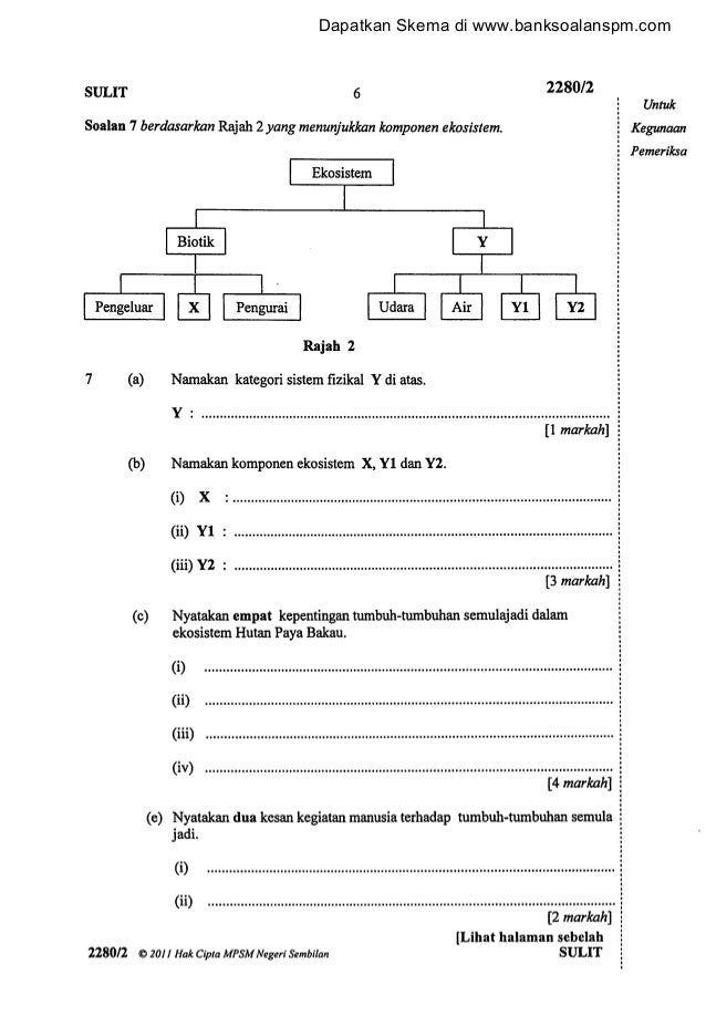 jawapan kepada syukran jazilan 95 jawapan kepada syukran jazilan 89