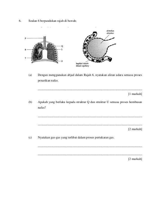 Contoh Soalan Dan Jawapan Persamaan Linear Serentak 