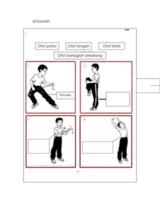 di bawah.
3.Koordinasi
Otot paha Otot lengan Otot betis
Otot bahagian belakang
badan
 