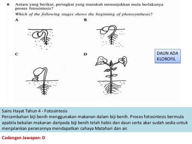 koleksi soalan matematik tahun 6 54 koleksi soalan matematik tahun 6 14