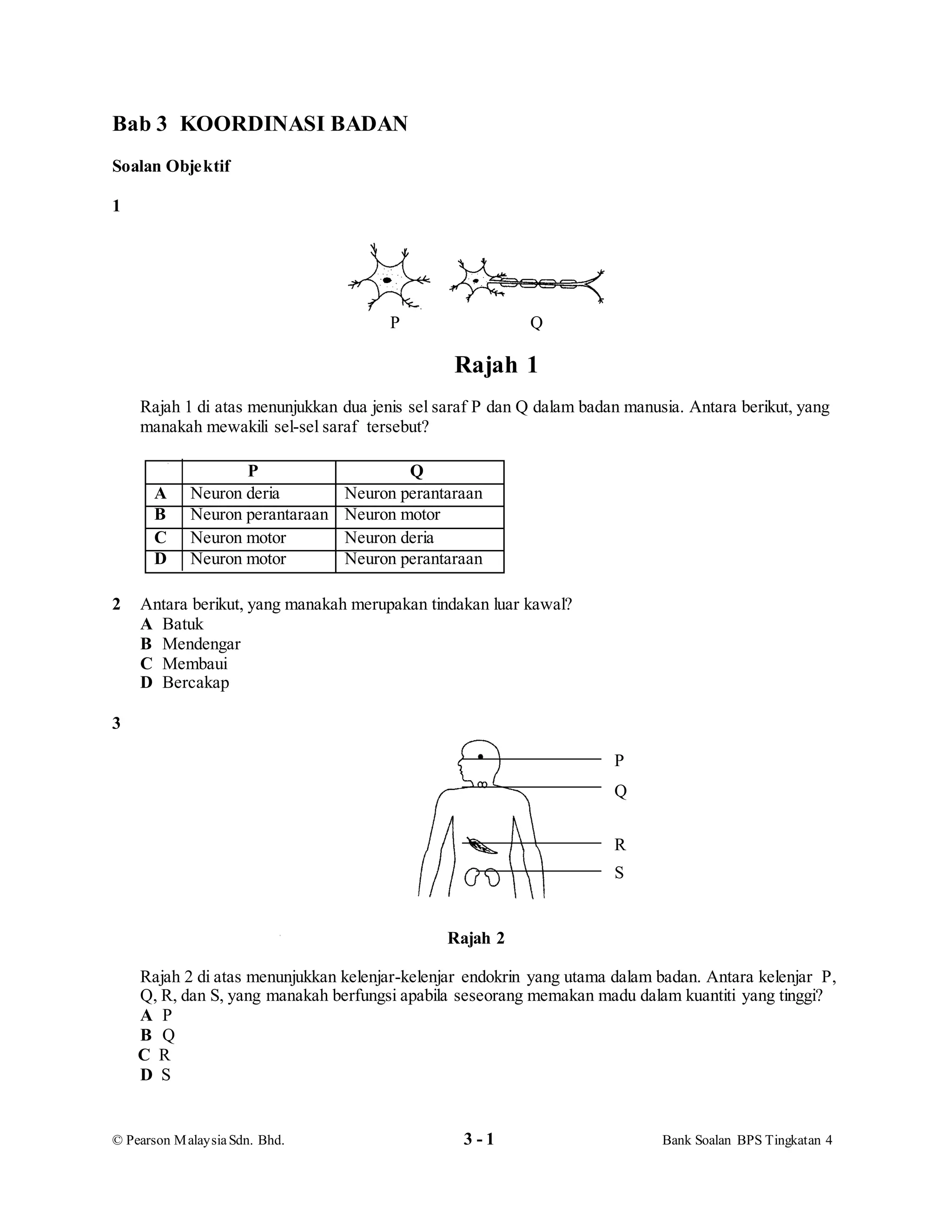 © Pearson MalaysiaSdn. Bhd. 3 - 1 Bank Soalan BPS Tingkatan 4
Bab 3 KOORDINASI BADAN
Soalan Objektif
1
Rajah 1
Rajah 1 di atas menunjukkan dua jenis sel saraf P dan Q dalam badan manusia. Antara berikut, yang
manakah mewakili sel-sel saraf tersebut?
2 Antara berikut, yang manakah merupakan tindakan luar kawal?
A Batuk
B Mendengar
C Membaui
D Bercakap
3
Rajah 2
Rajah 2 di atas menunjukkan kelenjar-kelenjar endokrin yang utama dalam badan. Antara kelenjar P,
Q, R, dan S, yang manakah berfungsi apabila seseorang memakan madu dalam kuantiti yang tinggi?
A P
B Q
C R
D S
P Q
A Neuron deria Neuron perantaraan
B Neuron perantaraan Neuron motor
C Neuron motor Neuron deria
D Neuron motor Neuron perantaraan
P Q
P
Q
R
S
 