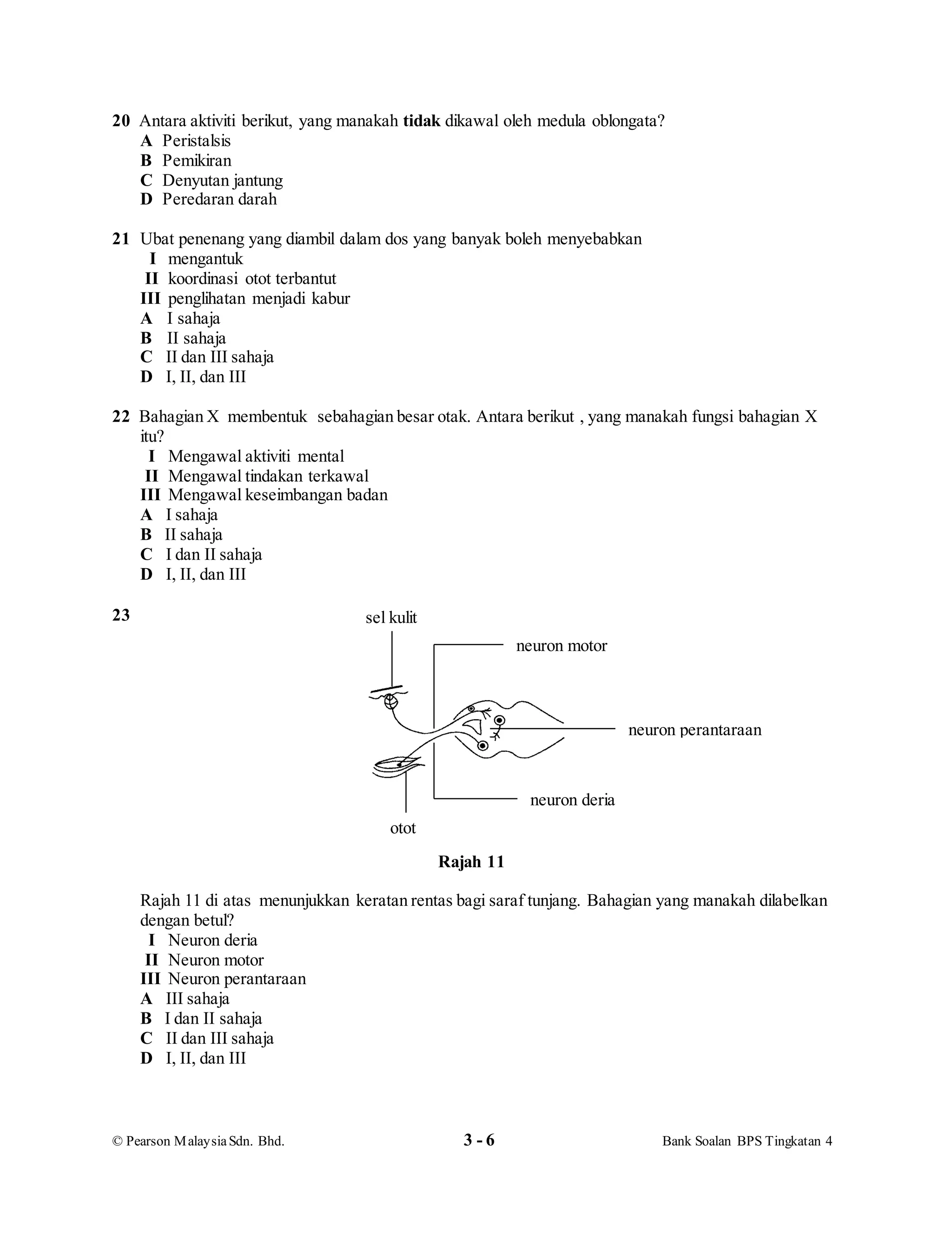 © Pearson MalaysiaSdn. Bhd. 3 - 6 Bank Soalan BPS Tingkatan 4
20 Antara aktiviti berikut, yang manakah tidak dikawal oleh medula oblongata?
A Peristalsis
B Pemikiran
C Denyutan jantung
D Peredaran darah
21 Ubat penenang yang diambil dalam dos yang banyak boleh menyebabkan
I mengantuk
II koordinasi otot terbantut
III penglihatan menjadi kabur
A I sahaja
B II sahaja
C II dan III sahaja
D I, II, dan III
22 Bahagian X membentuk sebahagian besar otak. Antara berikut , yang manakah fungsi bahagian X
itu?
I Mengawal aktiviti mental
II Mengawal tindakan terkawal
III Mengawal keseimbangan badan
A I sahaja
B II sahaja
C I dan II sahaja
D I, II, dan III
23
Rajah 11
Rajah 11 di atas menunjukkan keratan rentas bagi saraf tunjang. Bahagian yang manakah dilabelkan
dengan betul?
I Neuron deria
II Neuron motor
III Neuron perantaraan
A III sahaja
B I dan II sahaja
C II dan III sahaja
D I, II, dan III
otot
sel kulit
neuron motor
neuron perantaraan
neuron deria
 