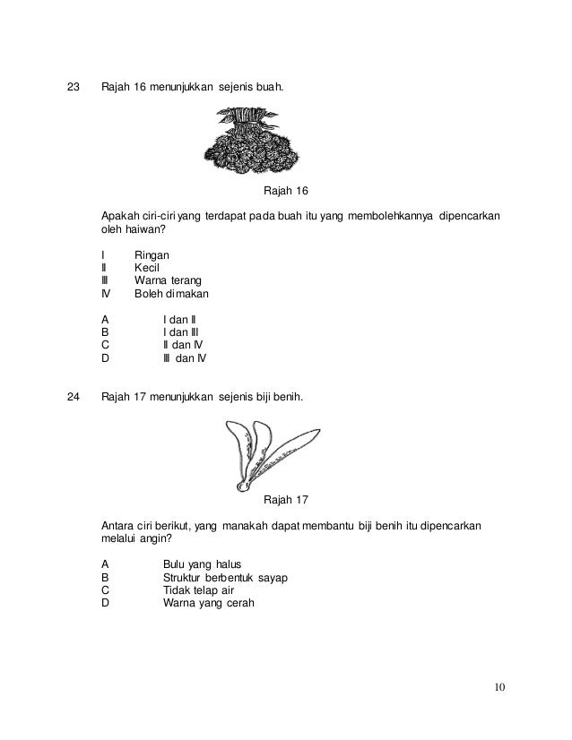Soalan sains tahun 5 pksr 2 ( kssr)