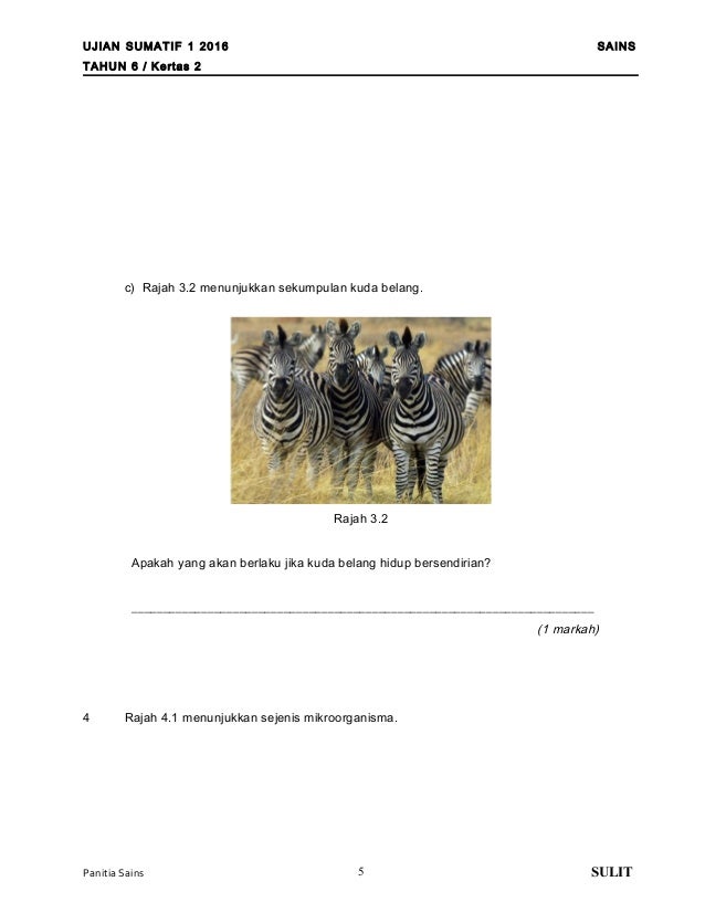 Soalan sumatif 1 2016 & jawapan