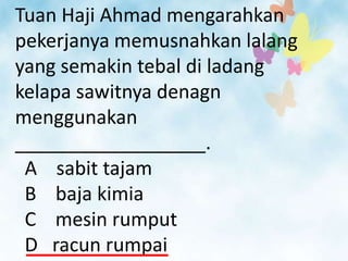 Tuan Haji Ahmad mengarahkan
pekerjanya memusnahkan lalang
yang semakin tebal di ladang
kelapa sawitnya denagn
menggunakan
__________________.
 A sabit tajam
 B baja kimia
 C mesin rumput
 D racun rumpai
 