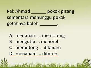 Pak Ahmad ______ pokok pisang
sementara menunggu pokok
getahnya boleh _______.

A   menanam … memotong
B   mengutip … menoreh
C   memotong … ditanam
D   menanam … ditoreh
 