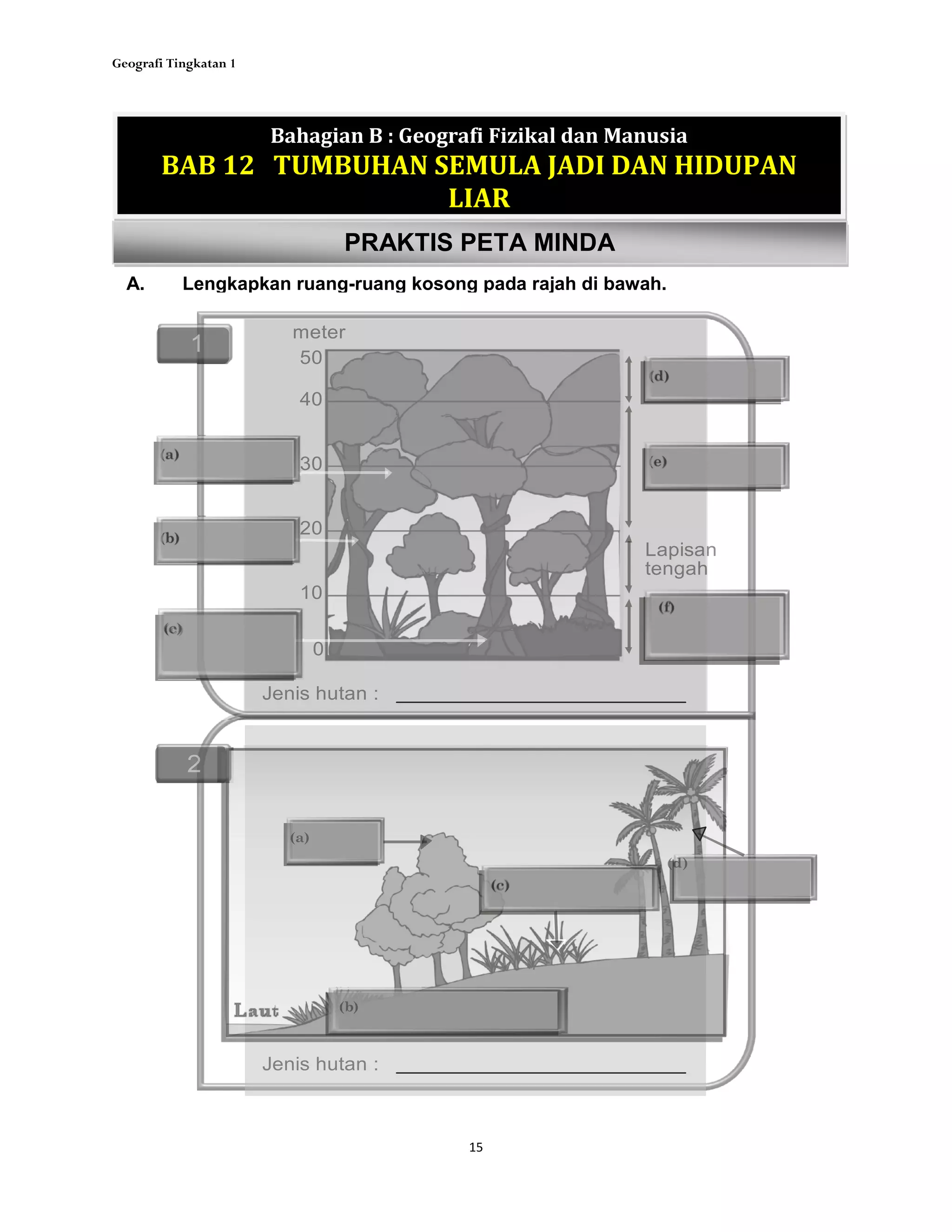 Geografi Tingkatan 1
15(iv) Pada pendapat anda, mengapakah seseorang remaja perlu memelihara maruah
dirinya? [ 4 markah]
_______________________________________________________________________________________
A. Lengkapkan ruang-ruang kosong pada rajah di bawah.
Bahagian B : Geografi Fizikal dan Manusia
BAB 12 TUMBUHAN SEMULA JADI DAN HIDUPAN
LIAR
PRAKTIS PETA MINDA
(d)
Lapisan
tengah
(e)
(f)
(c)
(b)
(a)
(b)
Jenis hutan :
Jenis hutan :
(d)
(a)
1
2
50
meter
40
30
20
10
0
(c)
 