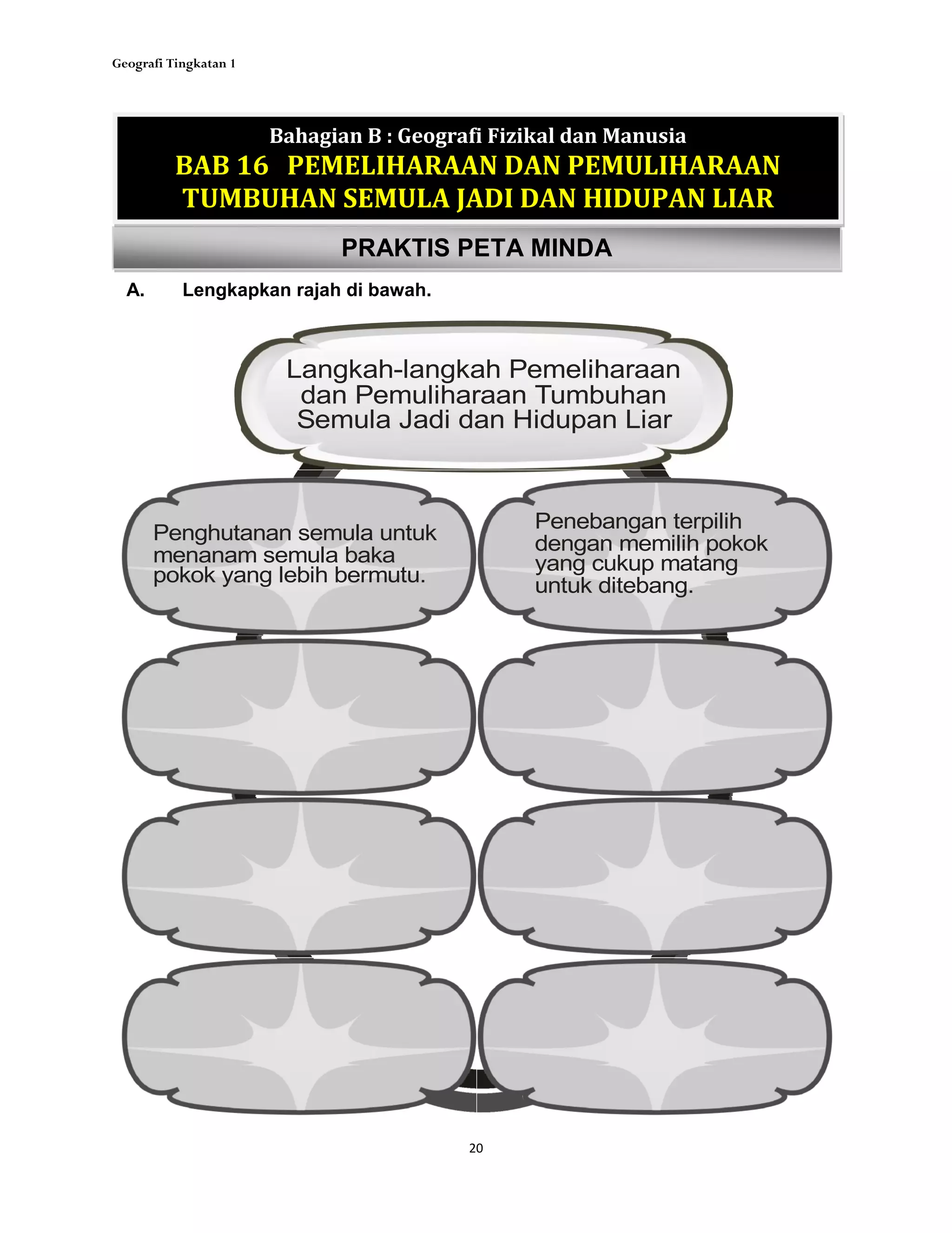 Geografi Tingkatan 1
20
PRAKTIS PETA MINDA
Bahagian B : Geografi Fizikal dan Manusia
BAB 16 PEMELIHARAAN DAN PEMULIHARAAN
TUMBUHAN SEMULA JADI DAN HIDUPAN LIAR
A. Lengkapkan rajah di bawah.
Langkah-langkah Pemeliharaan
dan Pemuliharaan Tumbuhan
Semula Jadi dan Hidupan Liar
Penghutanan semula untuk
menanam semula baka
pokok yang lebih bermutu.
Penebangan terpilih
dengan memilih pokok
yang cukup matang
untuk ditebang.
 