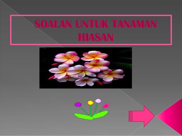 Soalan Untuk Tanaman Hiasan