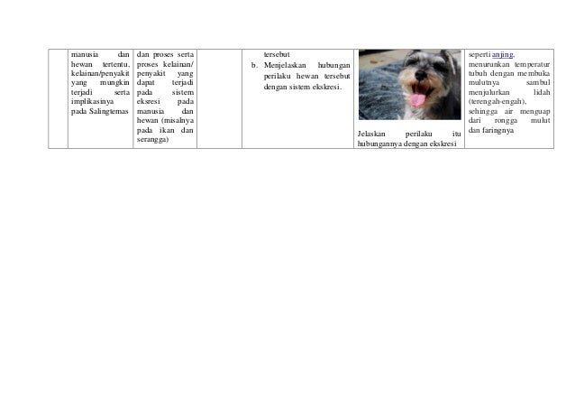 Contoh Soal Berpikir Kreatif Dan Kritis