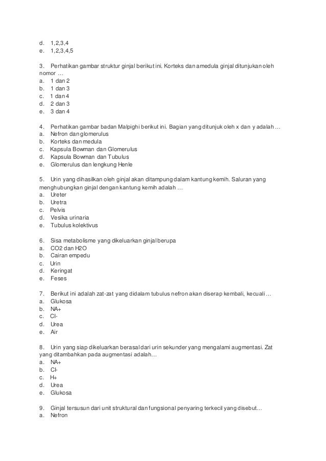 Kumpulan Soal Pembahasan Biologi Kelas Xi