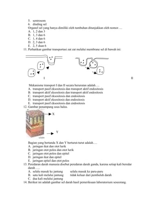 5. sentrosom
    6. dinding sel
    Organel sel yang hanya dimiliki oleh tumbuhan ditunjukkan oleh nomor….
    A. 1, 2 dan 3
    B. 1, 3 dan 6
    C. 1, 4 dan 6
    D. 2, 3 dan 6
    E. 2, 5 dsan 6
11. Perhatikan gambar transportasi zat zat melalui membrane sel di bawah ini:




                I                                                                   II

    Mekanisme transport I dan II secara berurutan adalah….
    A. transport pasif eksositosis dan transport aktif endositosis
    B. transport aktif eksositosis dan transport aktif endositosis
    C. transport pasif eksositosis dan endositosis
    D. transport aktif eksositosis dan endositosis
    E. transport pasif eksositosis dan endositosis
12. Gambar penampang usus halus.

                       X




                           Y


    Bagian yang bertanda X dan Y berturut-turut adalah….
    A. jaringan ikat dan otot lurik
    B. jaringan otot polos dan otot lurik
    C. jaringan otot polos dan epitel
    D. jaringan ikat dan epitel
    E. jaringan epitel dan otot polos
13. Peredaran darah manusia disebut peredaran darah ganda, karena setiap kali beredar
    darah ….
    A. selalu masuk ke jantung        selalu masuk ke paru-paru
    B. satu kali melalui jantung      tidak keluar dari pembuluh darah
    C. dua kali melalui jantung
14. Berikut ini adalah gambar sel darah hasil pemeriksaan laboratorium seseorang.
 