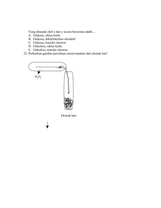Yang ditunjuk oleh x dan y secara berurutan adalh….
    A. Glukosa, siklus krebs
    B. Glukosa, dekarboksilasi oksidatif
    C. Glukosa, transfer electron
    D. Glikolisis, siklus krebs
    E. Glikolisis, transfer electron
22. Perhatikan gambar percobaan enzim katalase dari ekstrak hati!




        H2O2




                            Ekstrak hati
 