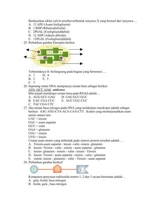 Berdasarkan siklus calvin tersebut terbentuk senyawa X yang berasal dari senyawa….
    A. 12 APG (Asam fosfogliserat)
    B. 1 RDP (Ribulosabifosfat)
    C. 2PGAL (Fosfogliseraldehid)
    D. 12 ADP (Adenin difosfat)
    E. 12PGAL (Fosfogliseraldehid)
25. Perhatikan gambar kloroplas berikut.




    Terbentuknya O2 berlangsung pada bagian yang bernomor….
    A. 1        D. 4
    B. 2        E. 5
    C. 3
26. Sepotong rantai DNA mempunyai urutan basa sebagai berikut:
    ATG GCT GAG antisense
    Bila terjadi transkripsi urutan basa pada RNAd adalah…
    A. AUG GCU GAG              D. UAG GCU GUC
    B. UAC CGA CUC              E. AUC CGU CUC
    C. TAC CGA CTC
27. Jika urutan basa nitrogen pada DNA yang melakukan transkripsi adalah sebagai
    berikut: AAC-ATG-CTA-ACA-CAA-CTT. Kodon yang menterjemahkan asam
    amino antara lain:
    UAC = tirosin
    GAU = asam aspartat
    GUU = valin
    GAA = glutamin
    UGU = sistein
    UUG = leusin
    Urutan asam amino yang terbentuk pada sintesis protein tersebut adalah….
    A. Tirosin-asam aspartat - leusin -valin -sistein -glutamin
    B. leusin- Tirosin - valin - sistein - asam aspartat - glutamin
    C. leusin- glutamin - sistein - valin - leusin - Tirosin
    D. leusin- Tirosin - asam aspartat - sistein - valin - glutamin
    E. sistein -leusin - glutamin - valin - Tirosin - asam aspartat
28. Perhatikan gambar berikut!



   Komponen penyusun nukleotida nomor 1, 2 dan 3 secara berurutan adalah…
   A. gula, fosfat, basa nitrogen
   B. fosfat, gula , basa nitrogen
 