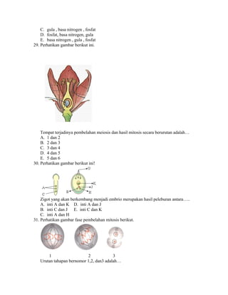 C. gula , basa nitrogen , fosfat
    D. fosfat, basa nitrogen, gula
    E. basa nitrogen , gula , fosfat
29. Perhatikan gambar berikut ini.




    Tempat terjadinya pembelahan meiosis dan hasil mitosis secara berurutan adalah…
    A. 1 dan 2
    B. 2 dan 3
    C. 3 dan 4
    D. 4 dan 5
    E. 5 dan 6
30. Perhatikan gambar berikut ini!




    Zigot yang akan berkembang menjadi embrio merupakan hasil peleburan antara…..
    A. inti A dan K D. inti A dan J
    B. inti C dan J E. inti C dan K
    C. inti A dan H
31. Perhatikan gambar fase pembelahan mitosis berikut.




       1                   2             3
   Urutan tahapan bernomor 1,2, dan3 adalah…
 
