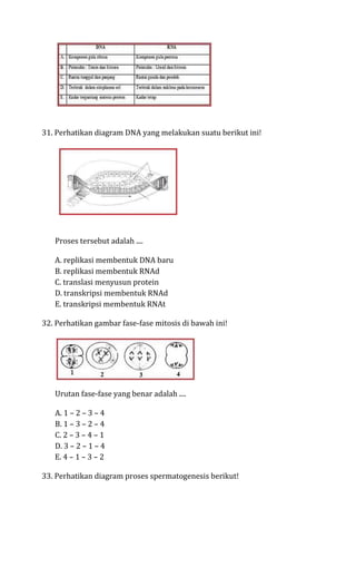 31. Perhatikan diagram DNA yang melakukan suatu berikut ini!




   Proses tersebut adalah ....

   A. replikasi membentuk DNA baru
   B. replikasi membentuk RNAd
   C. translasi menyusun protein
   D. transkripsi membentuk RNAd
   E. transkripsi membentuk RNAt

32. Perhatikan gambar fase-fase mitosis di bawah ini!




   Urutan fase-fase yang benar adalah ....

   A. 1 – 2 – 3 – 4
   B. 1 – 3 – 2 – 4
   C. 2 – 3 – 4 – 1
   D. 3 – 2 – 1 – 4
   E. 4 – 1 – 3 – 2

33. Perhatikan diagram proses spermatogenesis berikut!
 