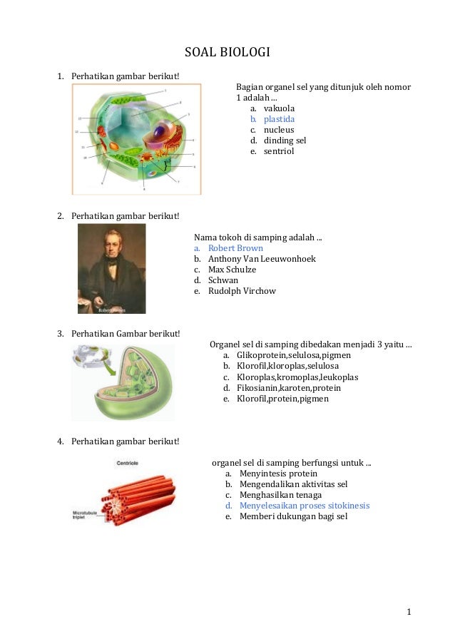 Contoh Soal Biologi Tentang Sel