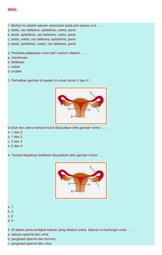 Berikut ini yang merupakan saluran reproduksi pada pria secara urut adalah ….