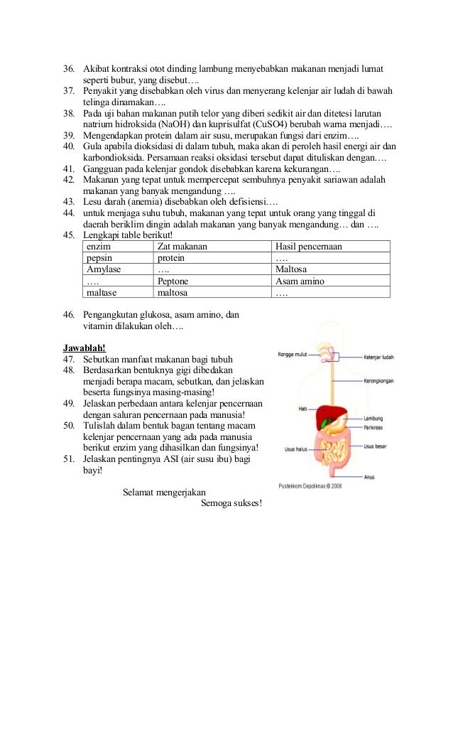 Soal biologi kelas 8 sistem pencernaan manusia