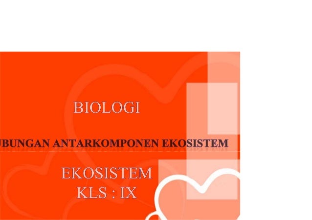 Soal biologi un 2012 skl no.25 jaring jaring makanan