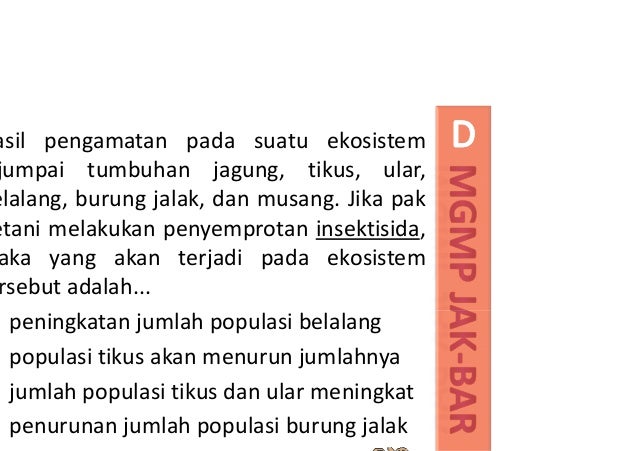 Soal biologi un 2012 skl no.25 jaring jaring makanan