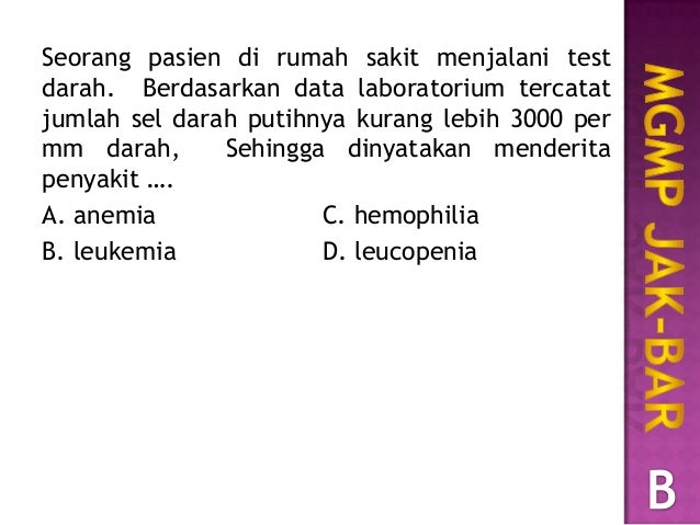  Soal biologi un 2019 skl no 28 sistem peredaran darah