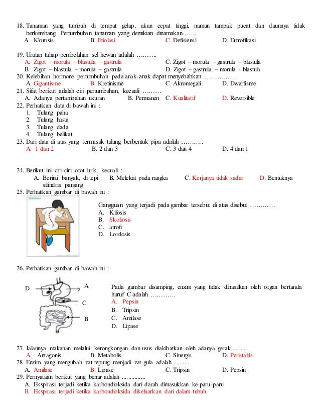 Soal Cerdas Cermat Swc 2015 Ipa Kelas Viii Huda Dani