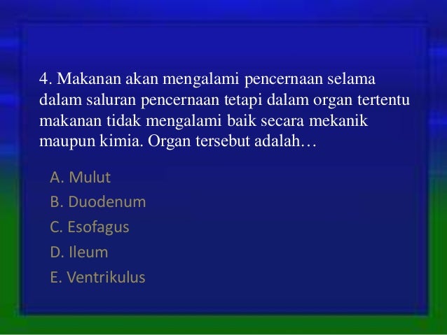 Proses pencernaan makanan secara mekanik