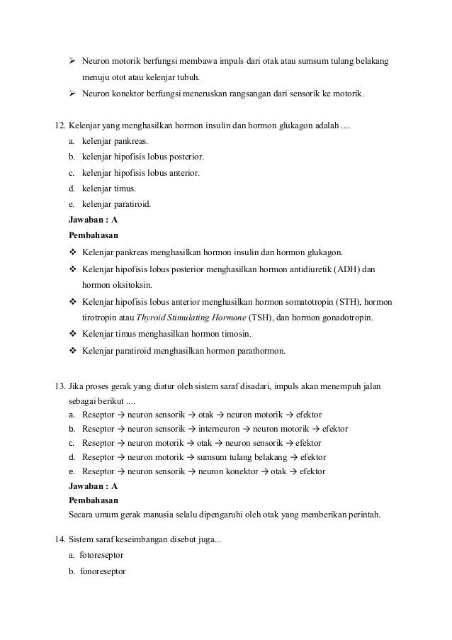 Soal Dan Pembahasan Sistem Koordinasi Pada Manusia