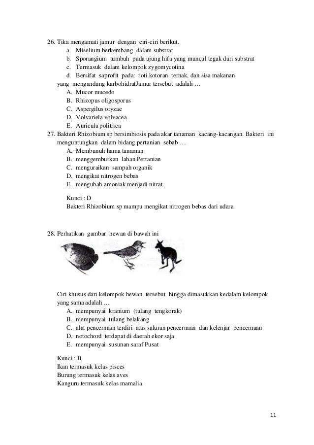 Soal dan pembahasan un biologi