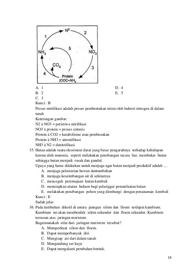 Soal Dan Pembahasan Un Biologi 28622894