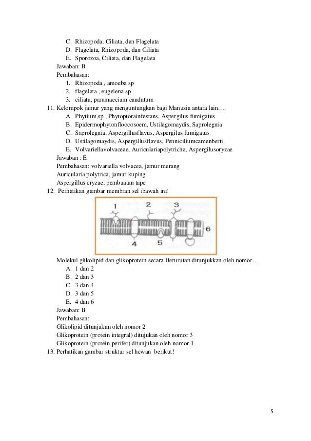 Soal dan pembahasan un biologi